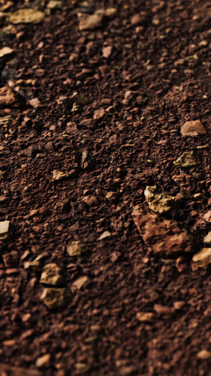 Close Up of Gravel Path