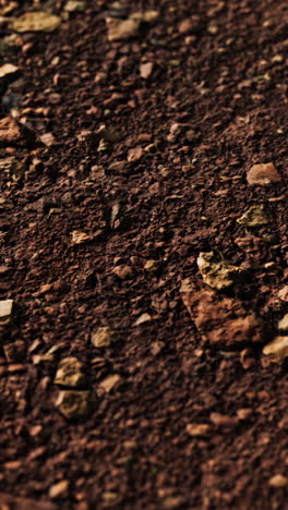 close up of gravel path