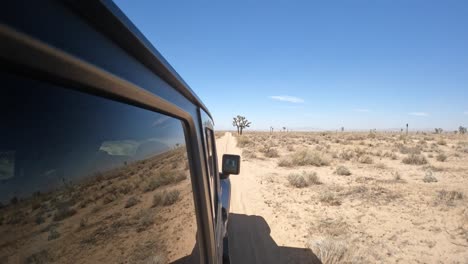 conduciendo a lo largo de un sendero fuera de la carretera en el desierto de mojave junto a los árboles de joshua - vista desde el costado del vehículo