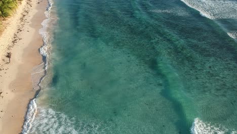 Drone-shot-of-clear-turquoise-waves-with-white-sand-beach-and-coconut-trees