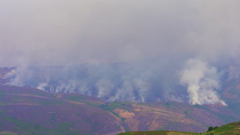 the smoke rising from across the mountain region shows how serious the forest fires are