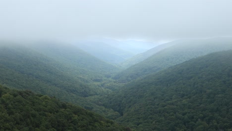 nubes bajas pasan sobre el valle de red creek en el desierto de dolly sods, parte del bosque nacional monongahela en virginia occidental