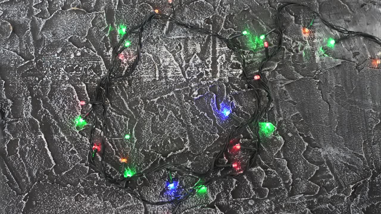 원 모양의 꽃받침은 어두운 질감의 표면에 반인다.