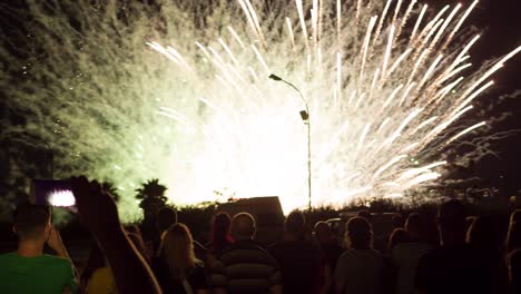 crowd watching fireworks display at night