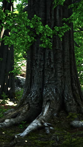 majestic forest tree