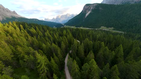 camino de tierra rodeado de bosque alpino en un valle en cadore, italia, con la cordillera de los dolomitas en el fondo al atardecer