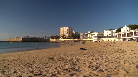 Black-dog-digging-a-hole-on-wide-open-beach-on-blue-sky-day