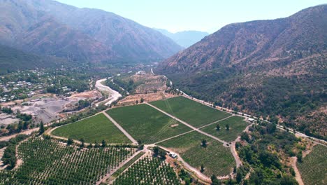 aerial establishing shot of maipo valley, famous region for producing the most prestigious chilean wines