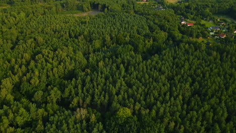 Paisaje-De-Bosque-Verde-Cerca-Del-Pequeño-Pueblo-De-Sasino-Polonia---Toma-Aérea