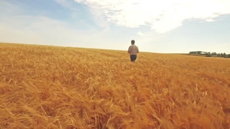 Aerial-view-of-farmer-walking-through-his-fields