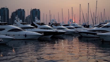 many white yachts are docked in the marina at sunset, creating beautiful reflections on the calm water surface with modern buildings in the background