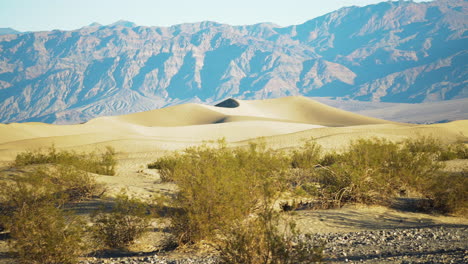 death valley sand dunes with shrubs and distant mountains in distance