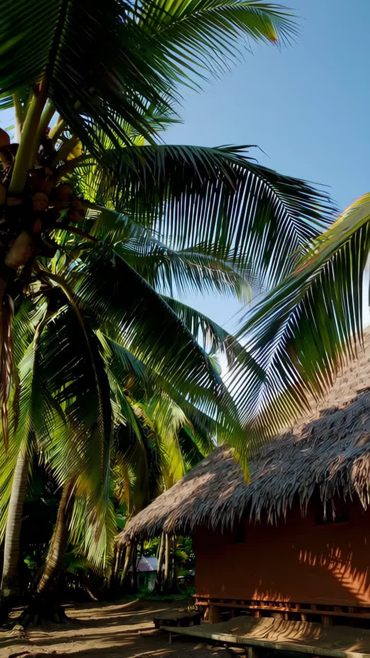 Tropical Hut Under Palm Trees