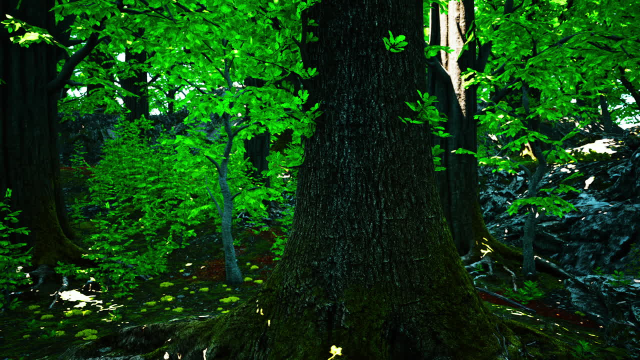 un primer plano de un gran tronco de árbol en un bosque profundo con hojas verdes y luz solar filtrándose a través del dosel