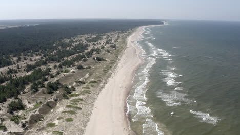 slow reverse flight above empty beach