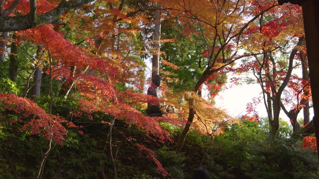 Incredible cinematic scenery at Japanese temple grounds during fall colors
