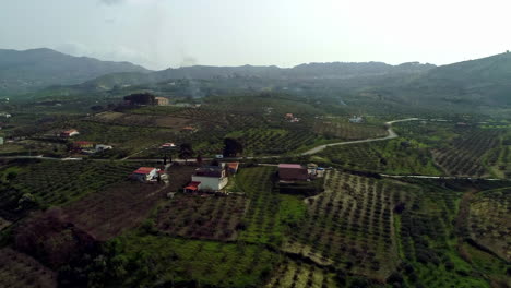 Visión-Aérea-Sobre-Hermosas-Tierras-De-Cultivo-Con-Cultivos-De-Olivos-Y-Naranjas-En-Sicilia,-Italia-Sobre-Terreno-Montañoso-Durante-El-Día-Con-Pequeñas-Cabañas-A-Lo-Largo-De-Un-Camino-Ventoso