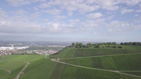 Imágenes-Aéreas-Que-Vuelan-Hacia-Una-Pequeña-Colina,-Llamada-Scheuerberg,-Cuyas-Laderas-Se-Utilizan-Para-El-Cultivo-De-Uvas,-Ubicadas-En-Neckarsulm,-Alemania