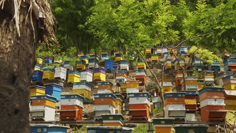 Pull-shot-reveals-colourful-Bulgarian-beehive-on-apiculture-farm-on-hillside