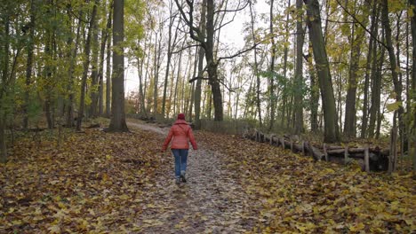 Middle-aged-woman-enjoying-afternoon-walk-in-autumn-park-walking-over-yellow,-orange,-brown-colored-leave-foliage