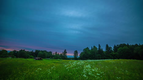 colorful golden to purple sunset and nightfall on an overcast evening above a countryside meadow with wildflowers - time lapse