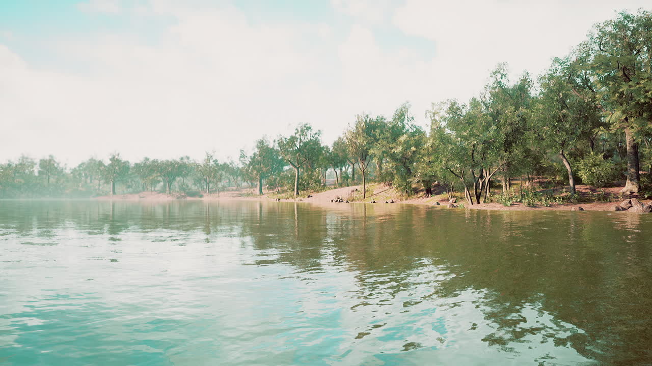 Hermosa luz de la mañana en parque público con campo de hierba verde
