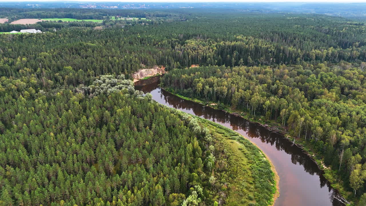 Aerial View Of River And Dense Forest At Gauja National Park With The Erglu Klintis In Latvia.