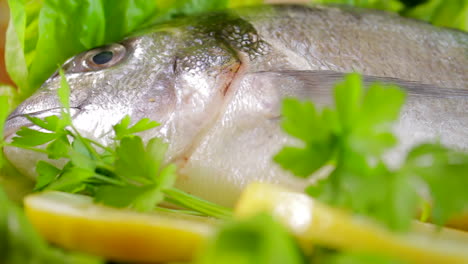 raw bream fish ready to be cooked