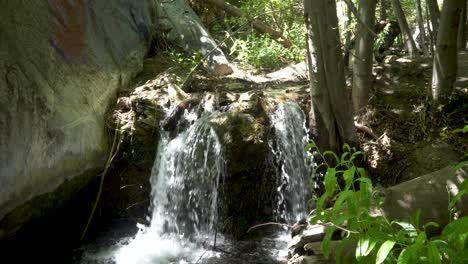 Small-Cascade-Over-Trunk-in-Soldier-Creek,-Angeles-National-Forest-Slow-Motion