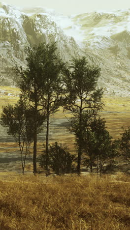 snowy mountains with green trees and grassy field