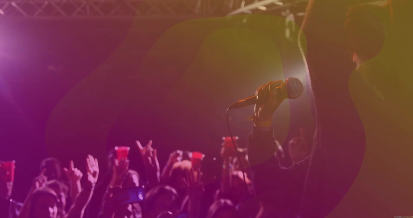 Cantante che si esibisce sul palco a un concerto di musica dal vivo