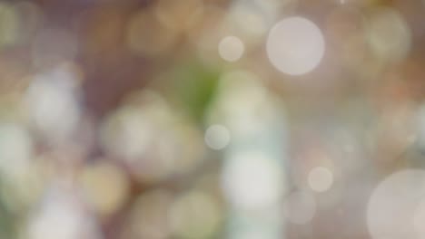 abstract spring background with bokeh