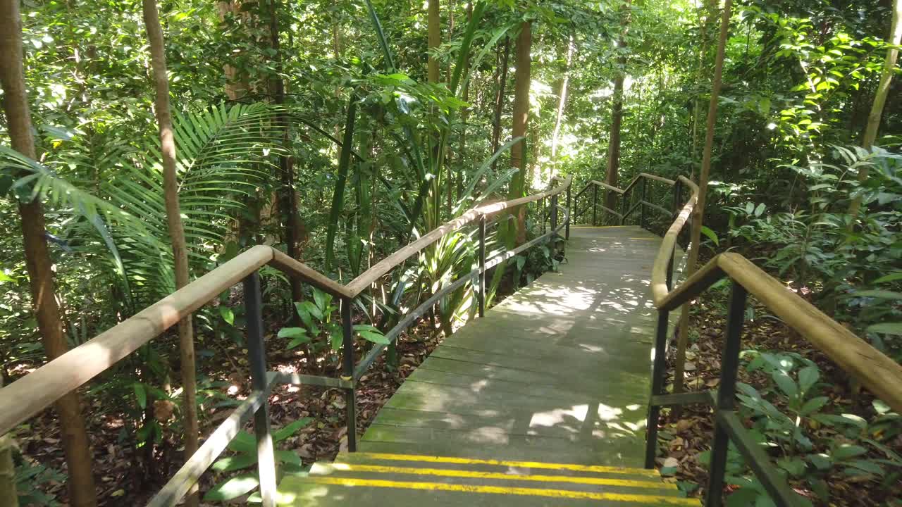 pov tiro de caminar en el viejo muelle en el lago del bosque oscuro