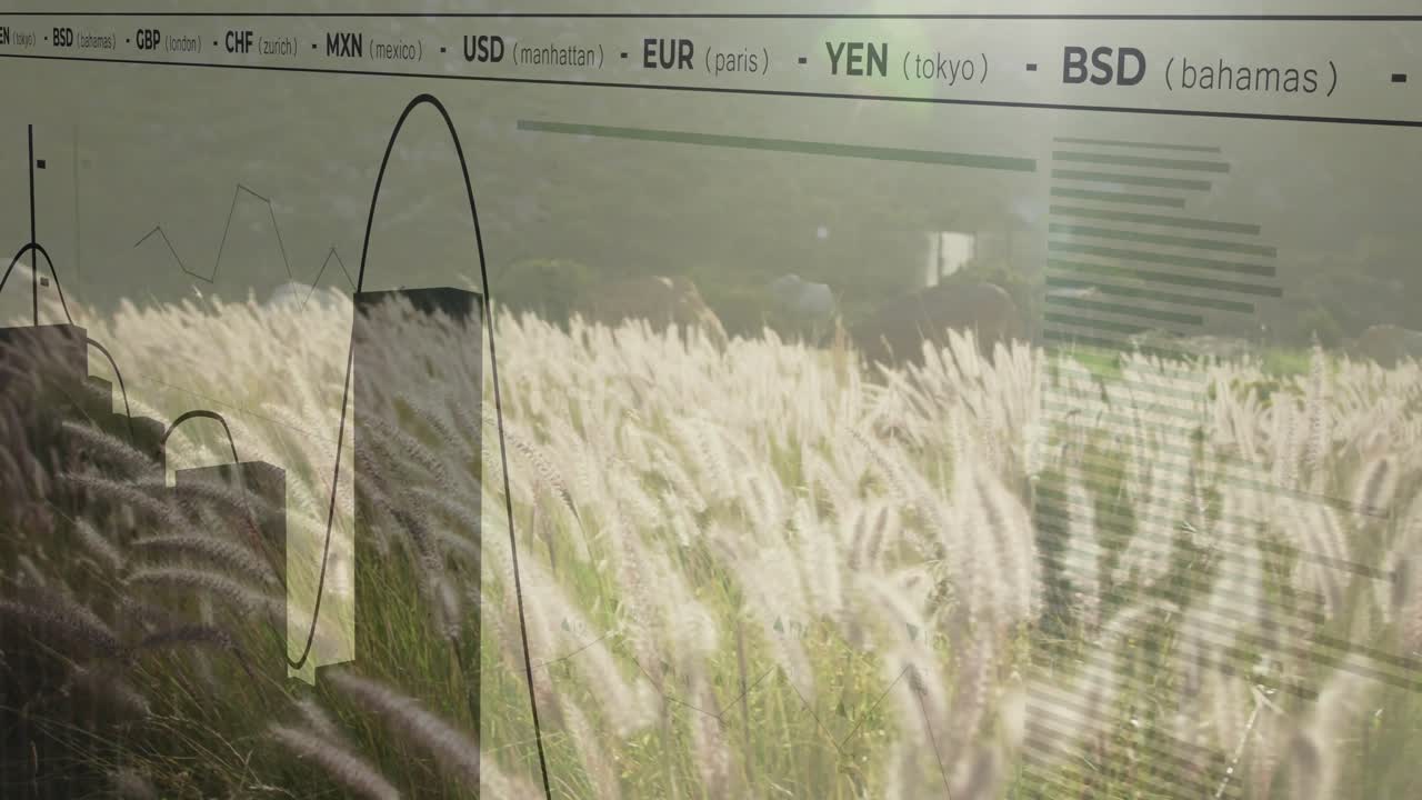 3D render sunrise grasses swaying ticker scrolling currencies graph showing market trends