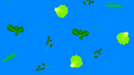 elementos de vegetales animación croma clave de fondo extraíble, bucle sin costuras
