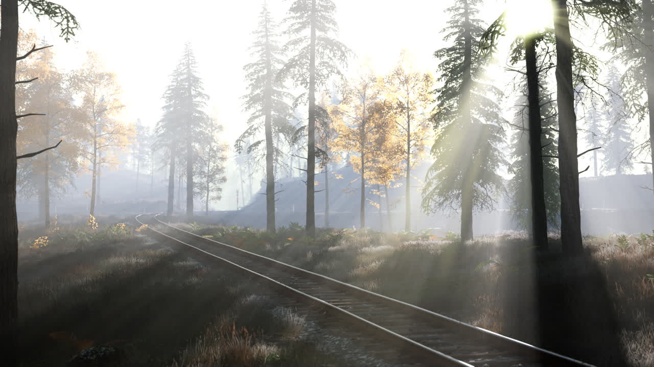 빈 철도가 아침에 안개 숲을 통과합니다.