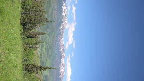 Snowcapped-Colorado-Rocky-Mountains-viewed-from-a-green-field-with-pine-trees,-vertical