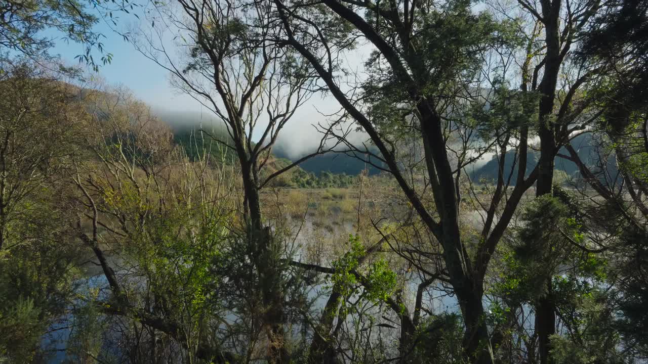 vuelo aéreo a través de los árboles revelando un entorno mágico de humedales inundados con terreno montañoso accidentado y nubes de niebla bajas en la isla sur de nueva zelanda aotearoa
