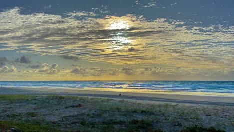 Ein-Einsamer-Dingo,-Ein-Einheimischer-Australischer-Wildhund,-Schnüffelt-In-Dieser-Frühmorgendlichen-Szene-Unter-Einem-Cineastischen-Makrelenhimmel-Am-Strand-Herum-Und-Sucht-Nach-Nahrung