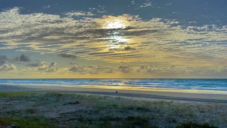 un dingo solitario, un perro salvaje indígena australiano, husmea en la playa, buscando comida, en esta escena matutina bajo un cielo cinemático de caballa