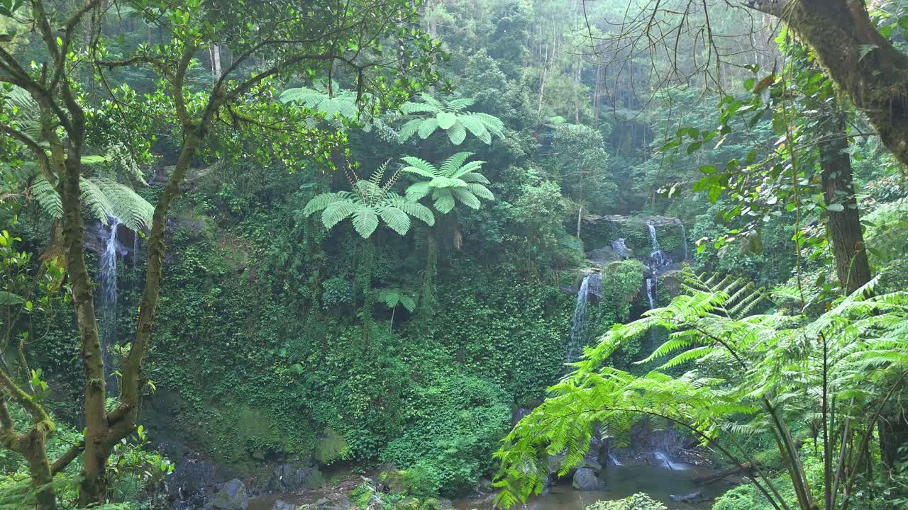 Drone view of a tropical rainforest waterfall with sunlight shining through thick forest canopy
