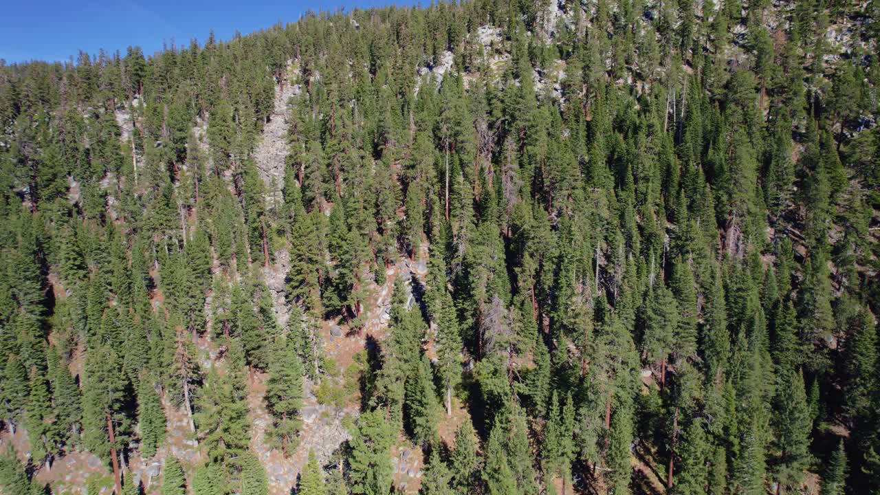 Vista elevata che si avvicina a una foresta di montagna con texture naturali