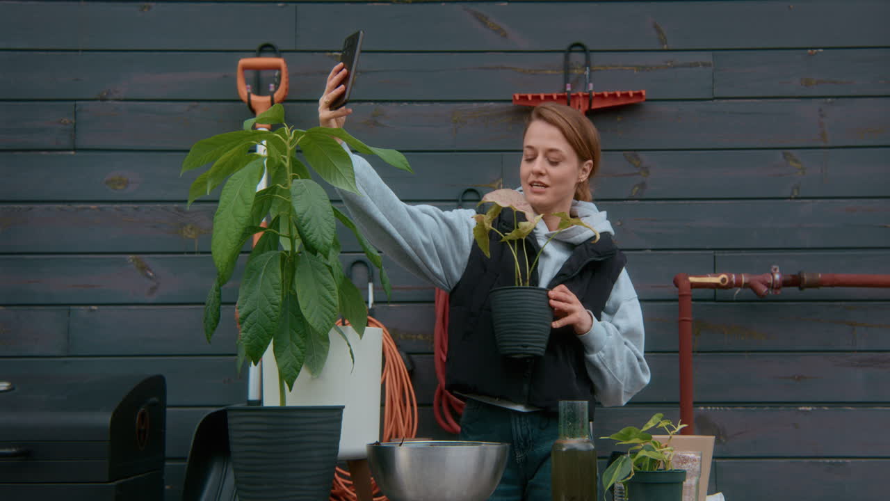 How to Care for an Avocado Plant: A Growing Guide