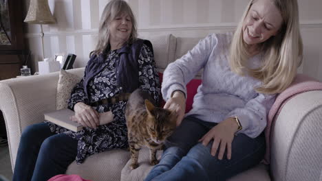 people and cat on a couch
