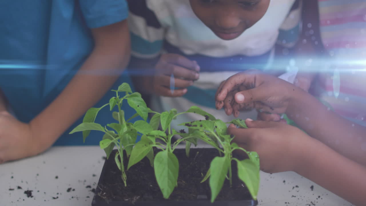 senderos de luz azul contra un grupo diverso de estudiantes tocando muestras de plantas en la escuela