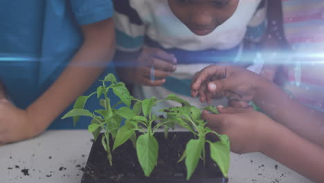 blue light trails against diverse group of students touching plant samplings at school