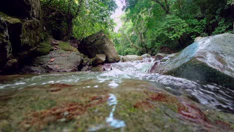 Close-up-shot-of-clear-water-of-river-flowing-in-rainforest-in-Dominiacn-Republic-during-sunny-day