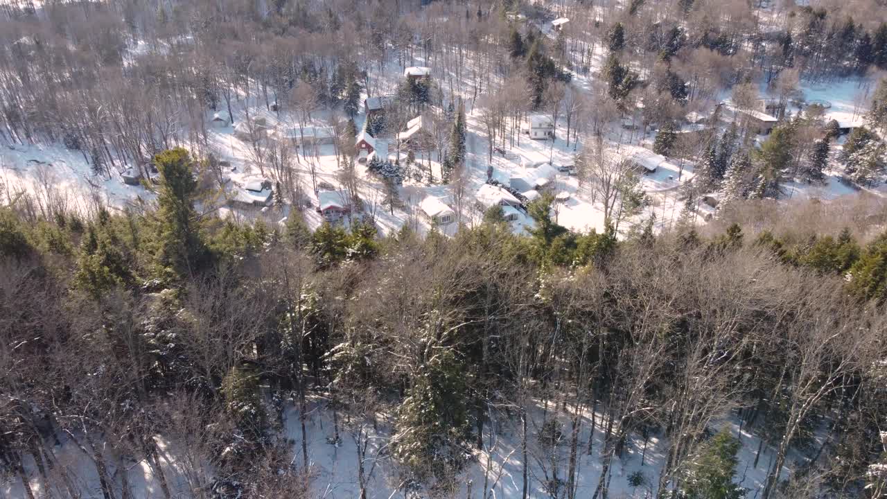 Spruce evergreen tree winter nature edge of forest near village Canada aerial drone