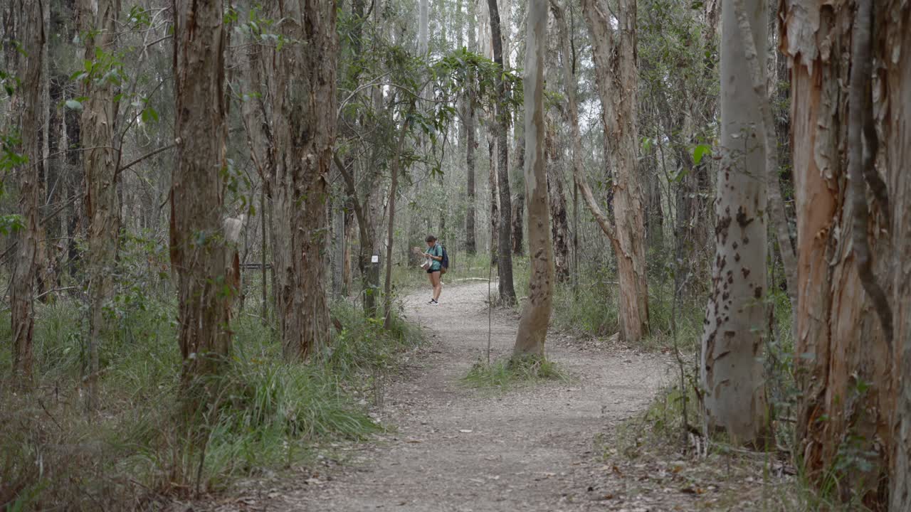 mujer visitando el bosque de eucalipto en australia, paisaje natural