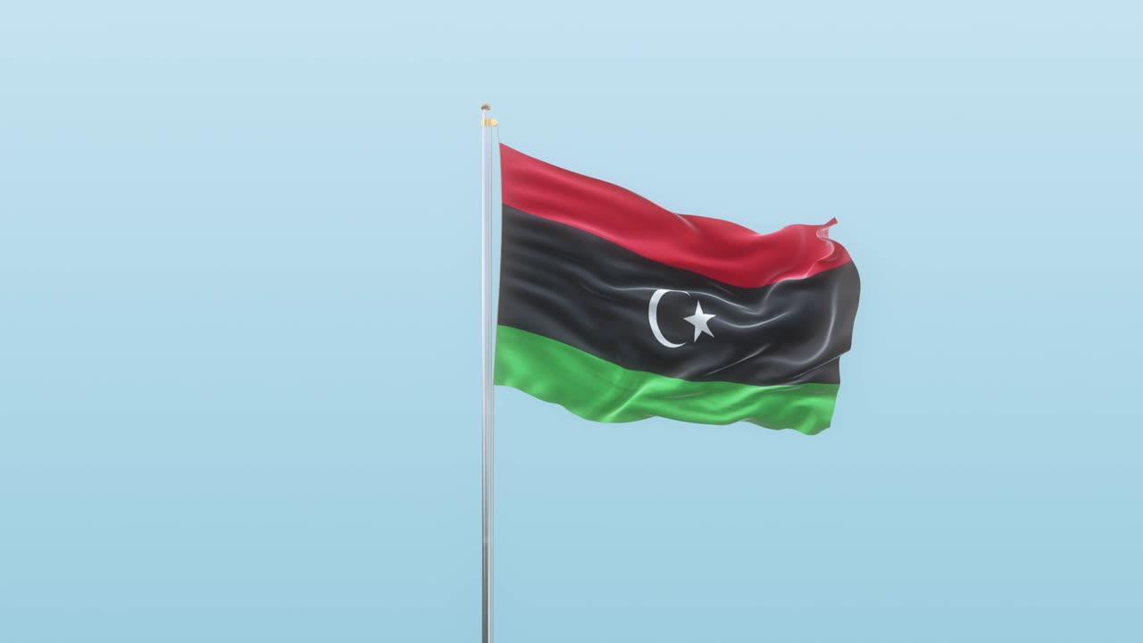 리비아의 발은 알파와 배경이 다른 각도에서 움직입니다.